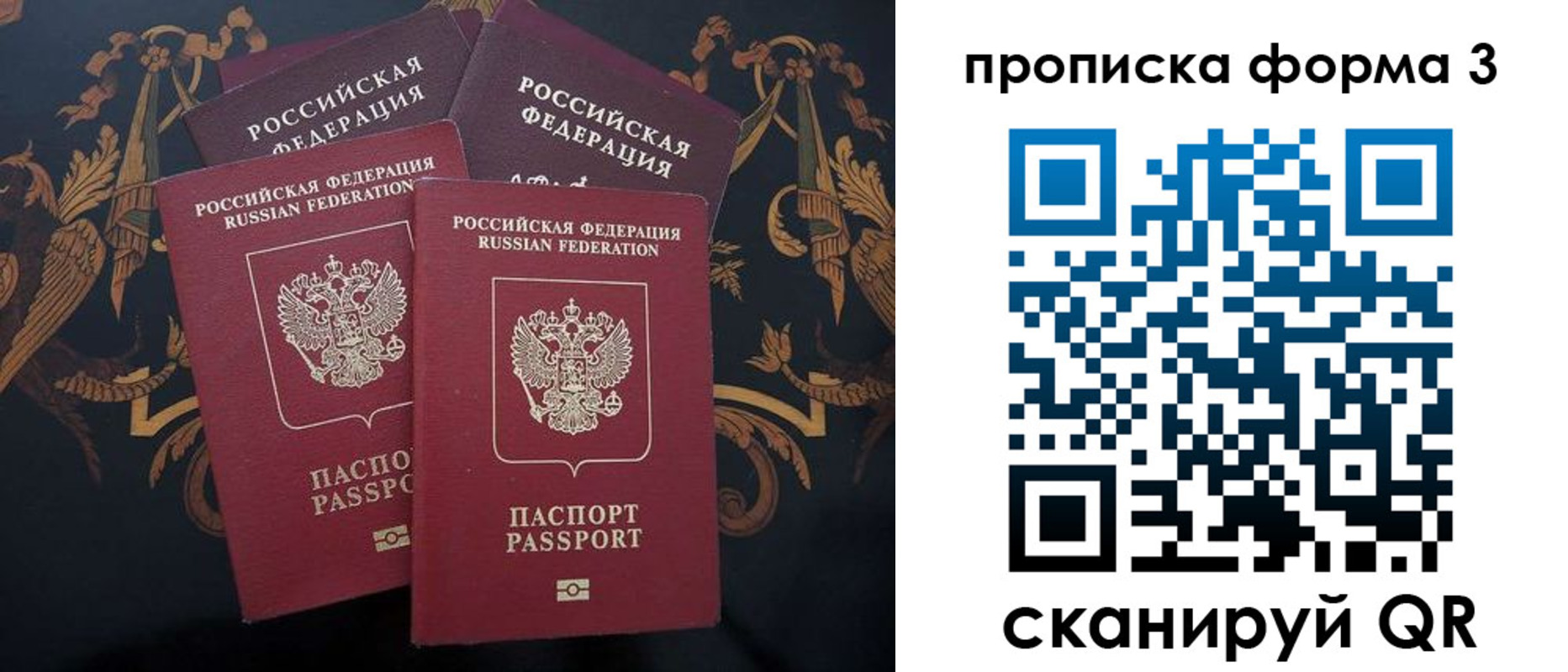 прописка законно в Курской области
