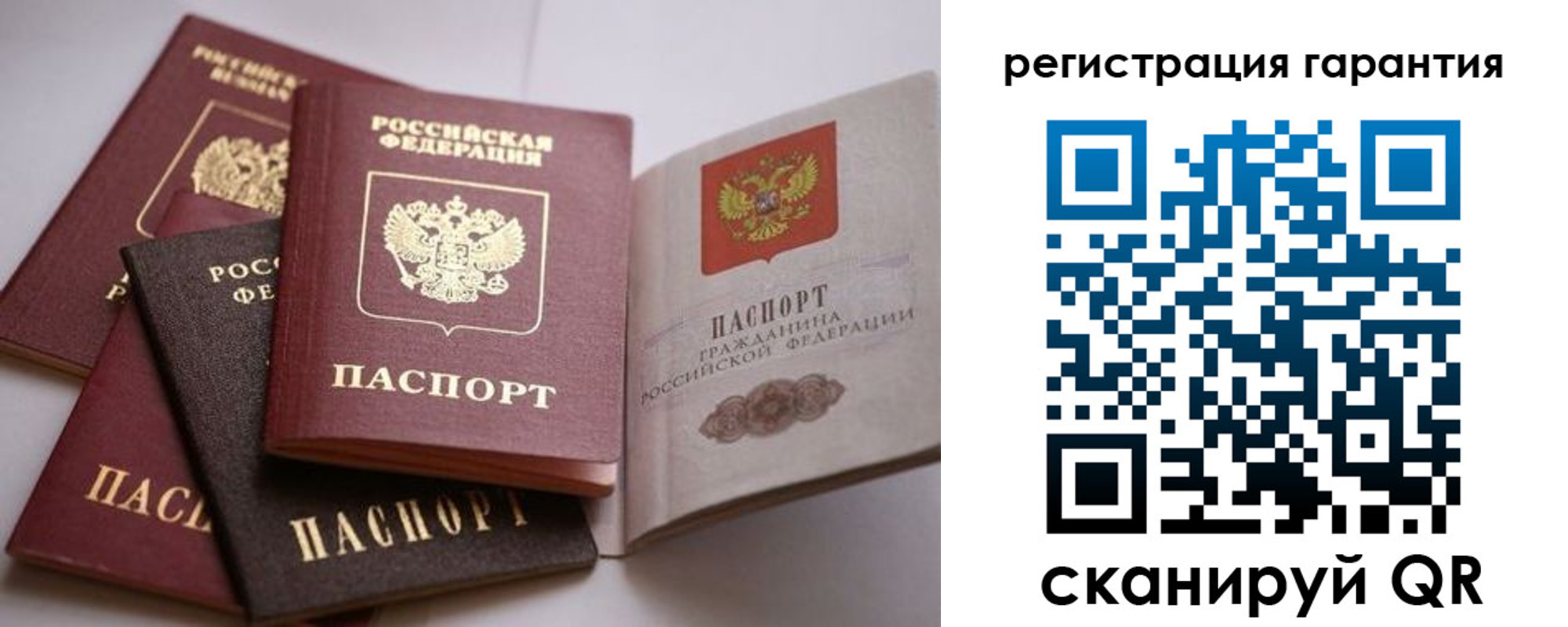 временная регистрация гарантия в Курской области